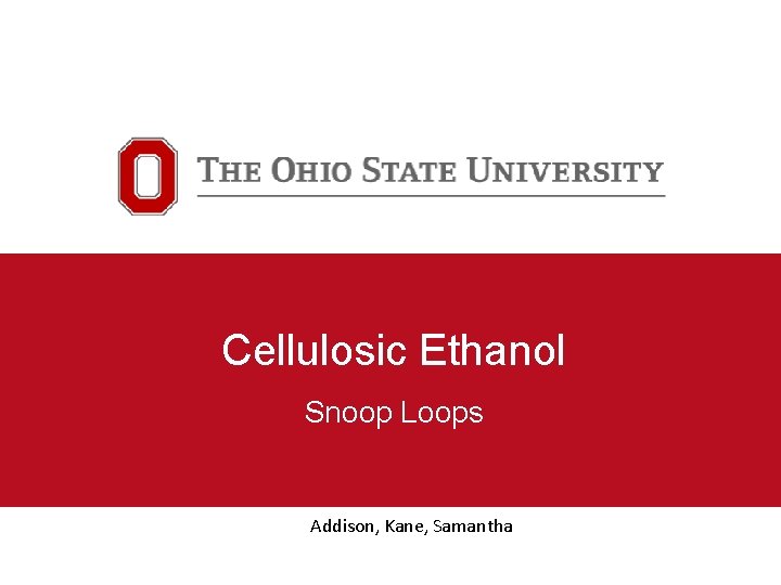 Cellulosic Ethanol Snoop Loops Addison, Kane, Samantha 
