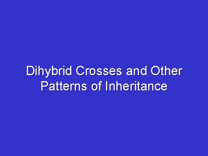 Dihybrid Crosses and Other Patterns of Inheritance 