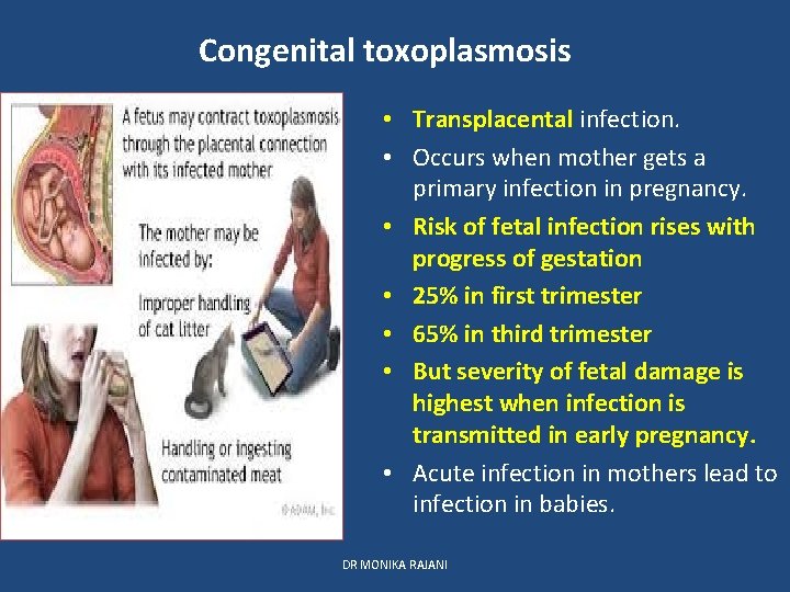 Congenital toxoplasmosis • Transplacental infection. • Occurs when mother gets a primary infection in