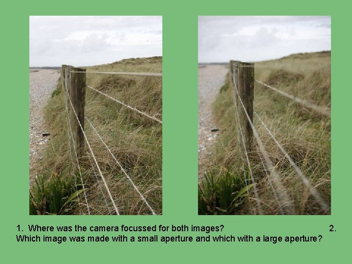 1. Where was the camera focussed for both images? 2. Which image was made