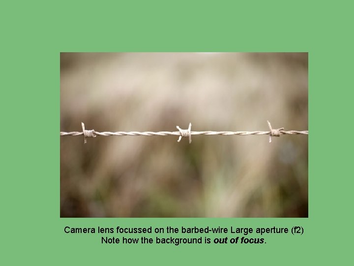 Camera lens focussed on the barbed-wire Large aperture (f 2) Note how the background