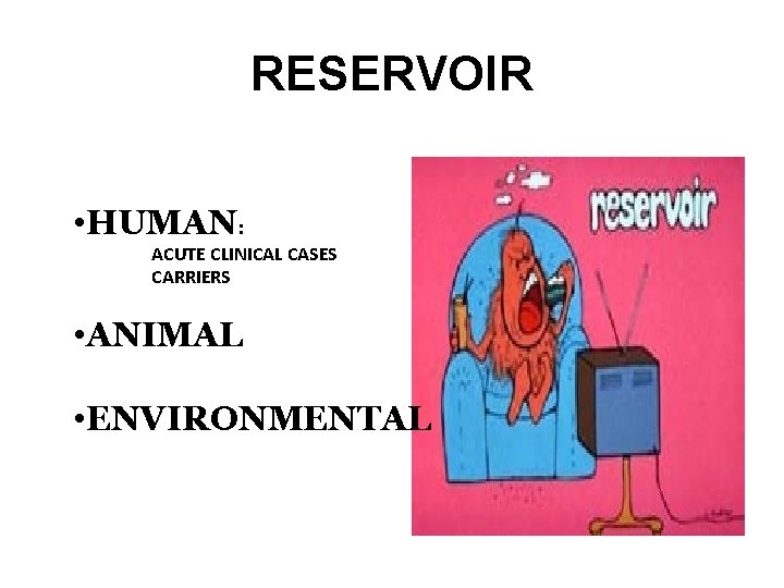 RESERVOIR • HUMAN: ACUTE CLINICAL CASES CARRIERS • ANIMAL • ENVIRONMENTAL 