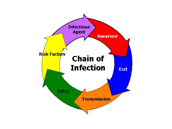 Infectious Agent Risk Factors Reservoir Chain of Infection Entry Transmission Exit 