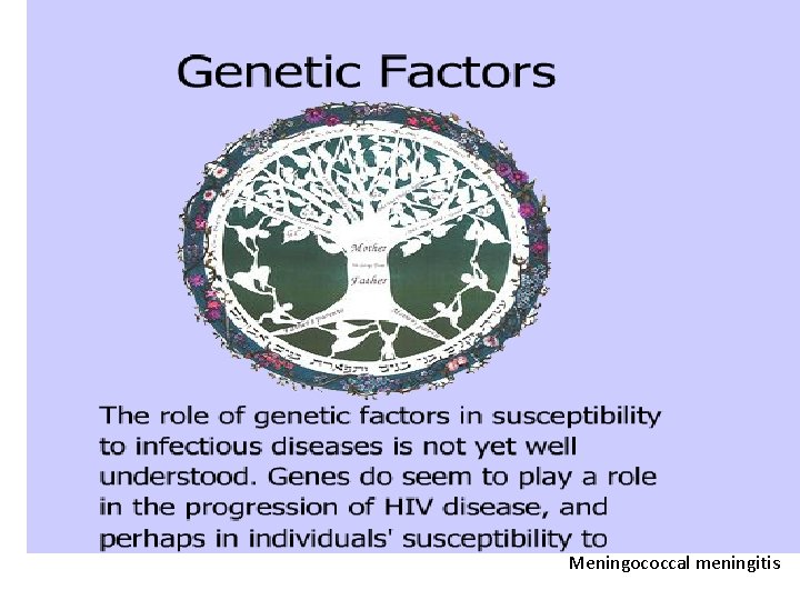 Meningococcal meningitis 