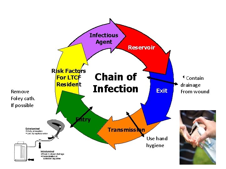 Infectious Agent Risk Factors For LTCF Resident Remove Foley cath. If possible Reservoir Chain