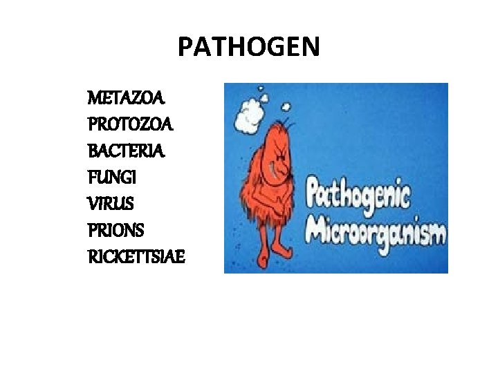 PATHOGEN METAZOA PROTOZOA BACTERIA FUNGI VIRUS PRIONS RICKETTSIAE 