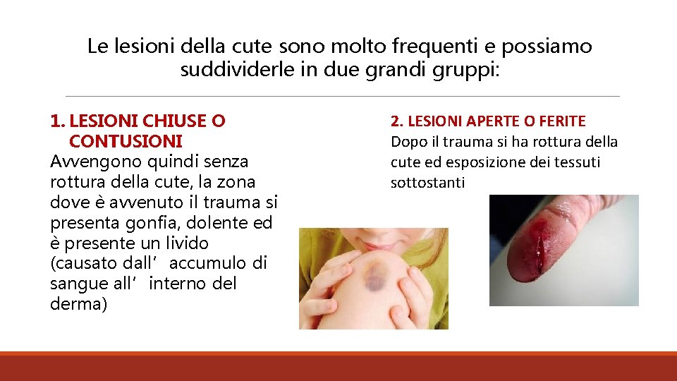 Le lesioni della cute sono molto frequenti e possiamo suddividerle in due grandi gruppi: