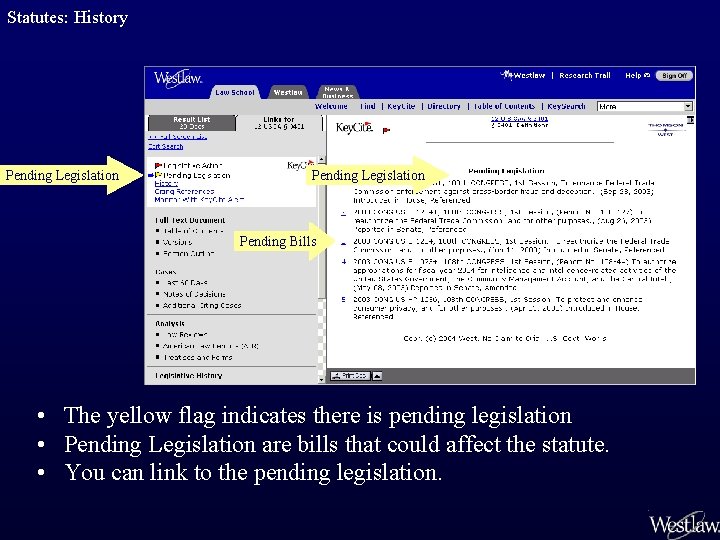 Statutes: History Pending Legislation Pending Bills • The yellow flag indicates there is pending