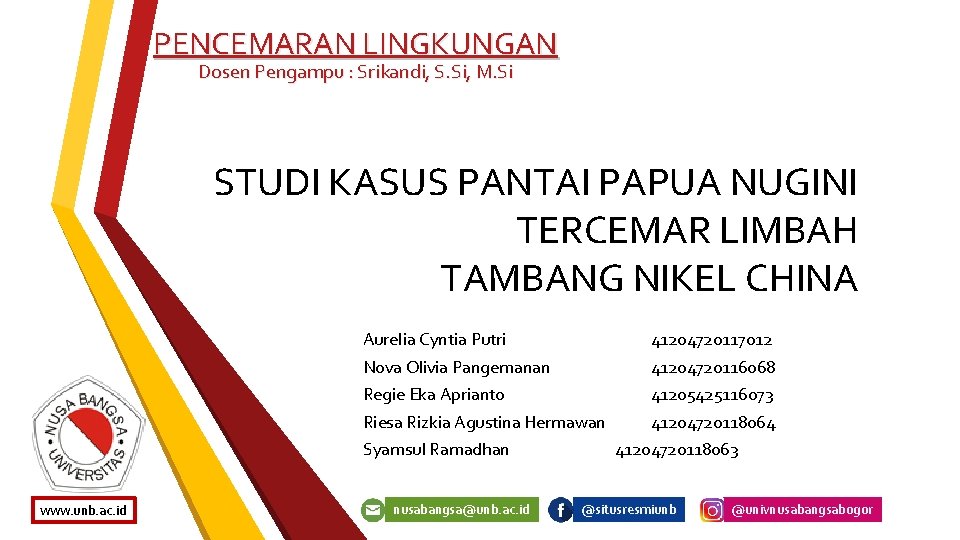 PENCEMARAN LINGKUNGAN Dosen Pengampu : Srikandi, S. Si, M. Si STUDI KASUS PANTAI PAPUA