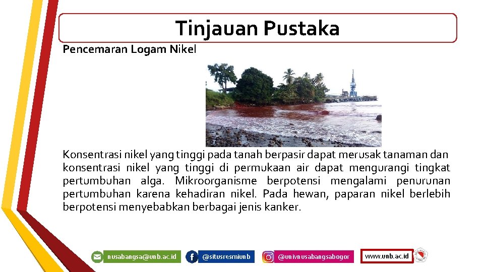 Tinjauan Pustaka Pencemaran Logam Nikel Konsentrasi nikel yang tinggi pada tanah berpasir dapat merusak