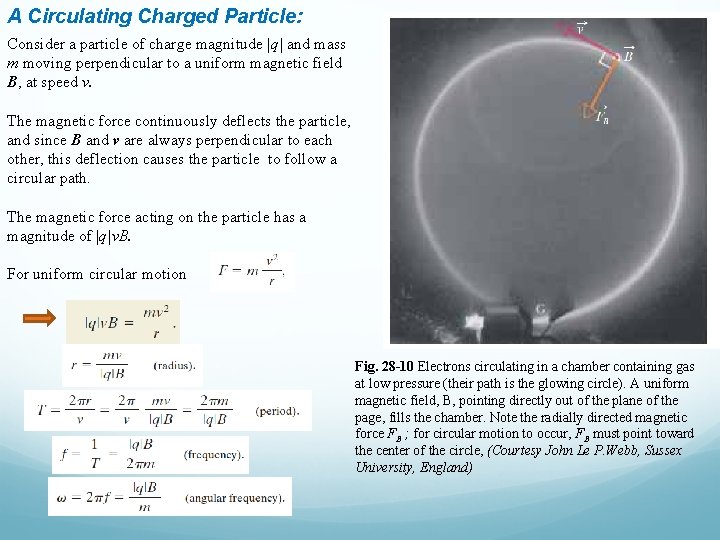 A Circulating Charged Particle: Consider a particle of charge magnitude |q| and mass m