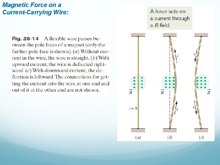 Magnetic Force on a Current-Carrying Wire: 