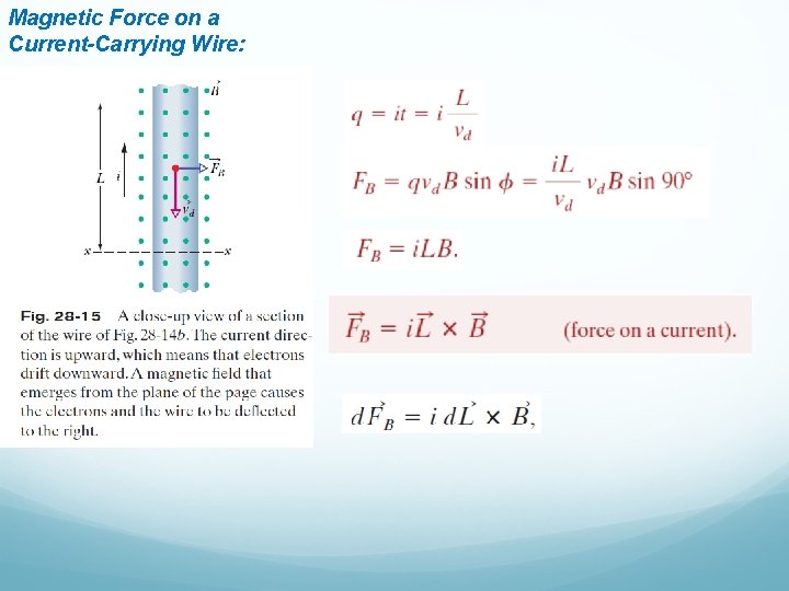 Magnetic Force on a Current-Carrying Wire: 