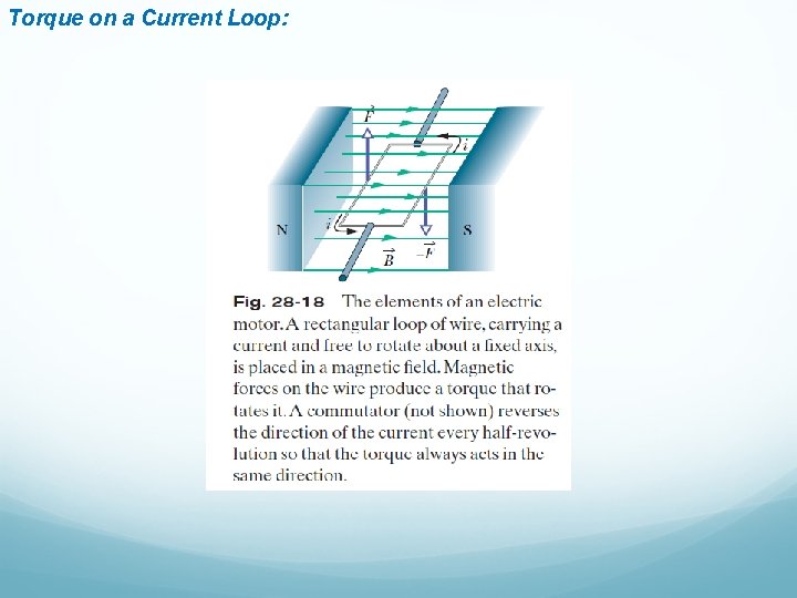 Torque on a Current Loop: 