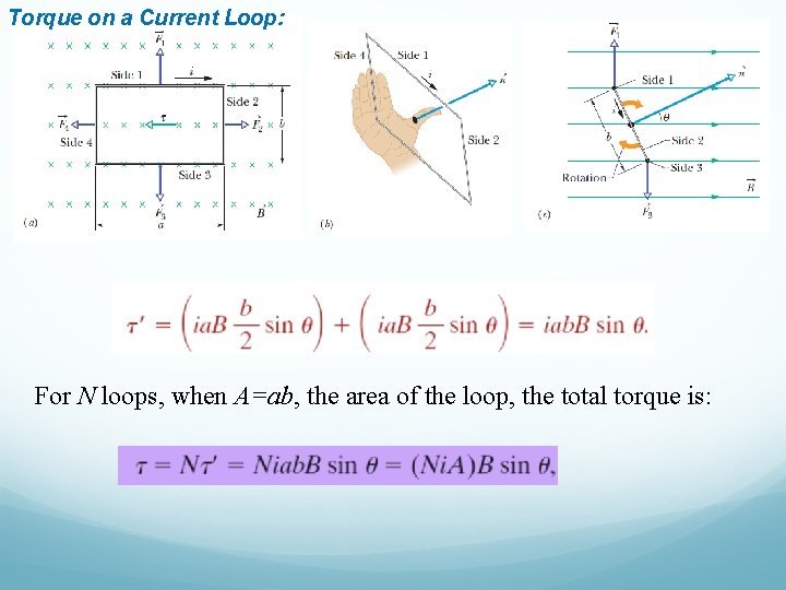 Torque on a Current Loop: For N loops, when A=ab, the area of the