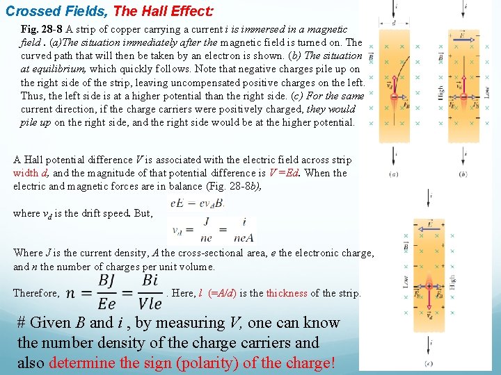 Crossed Fields, The Hall Effect: Fig. 28 -8 A strip of copper carrying a