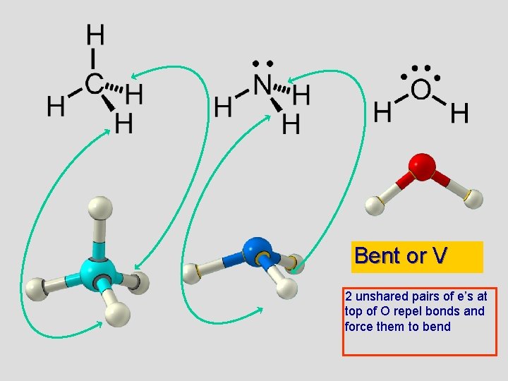 Bent or V 2 unshared pairs of e’s at top of O repel bonds