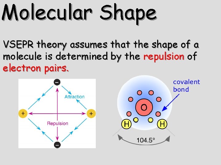 Molecular Shape VSEPR theory assumes that the shape of a molecule is determined by