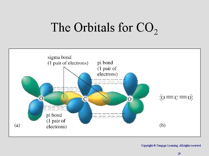 The Orbitals for CO 2 Copyright © Cengage Learning. All rights reserved 24 
