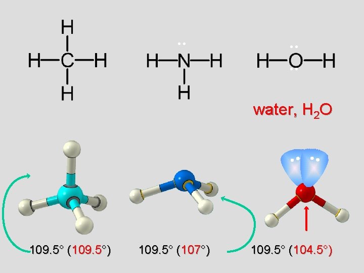 . . . water, H 2 O 109. 5° (109. 5°) 109. 5° (107°)