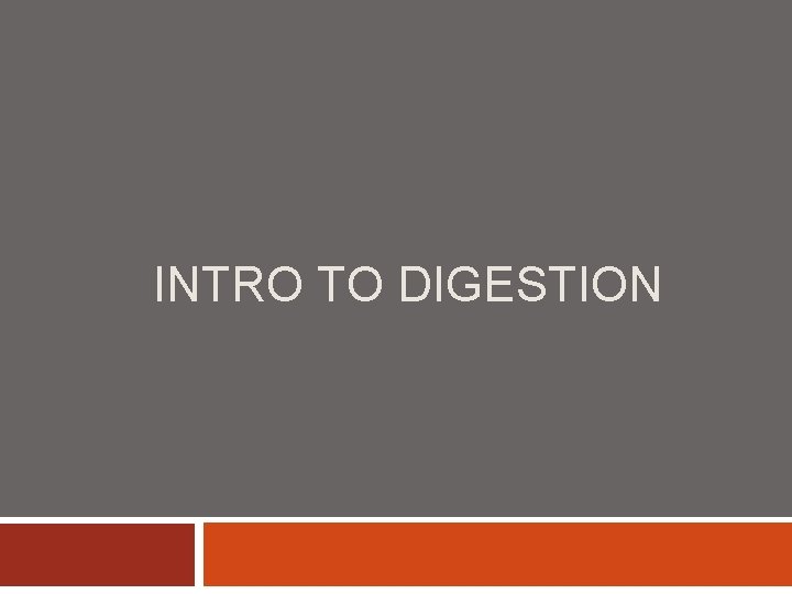 INTRO TO DIGESTION 