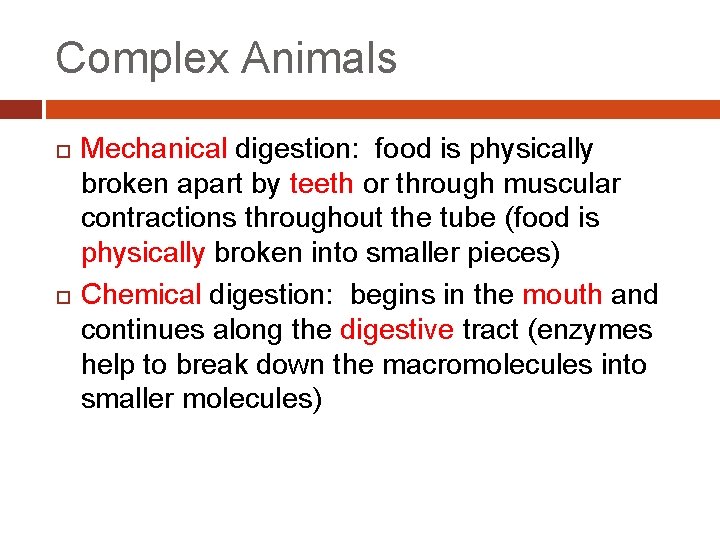 Complex Animals Mechanical digestion: food is physically broken apart by teeth or through muscular