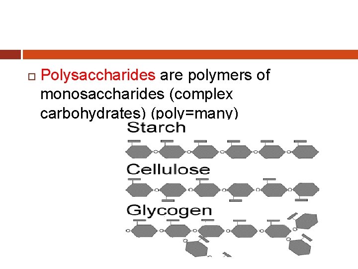  Polysaccharides are polymers of monosaccharides (complex carbohydrates) (poly=many) 