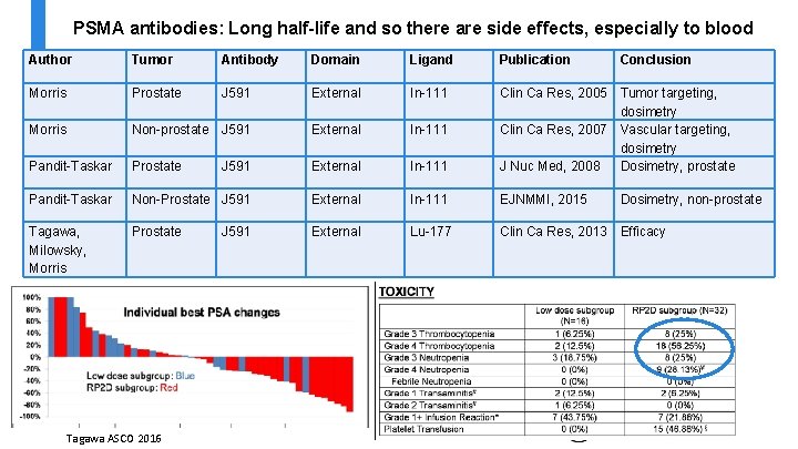 PSMA antibodies: Long half-life and so there are side effects, especially to blood Author PSMA antibodies: Long half-life and so there are side effects, especially to blood Author