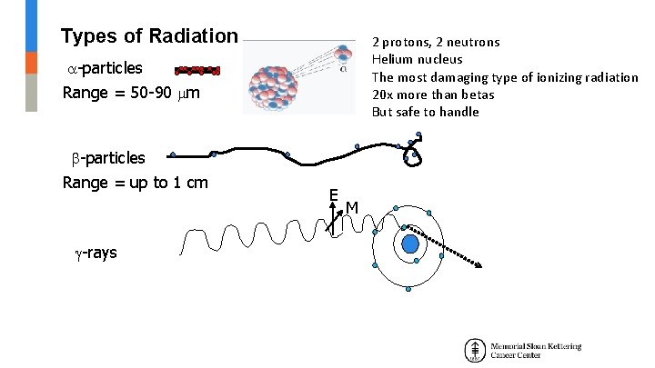 Types of Radiation 2 protons, 2 neutrons Helium nucleus The most damaging type of Types of Radiation 2 protons, 2 neutrons Helium nucleus The most damaging type of