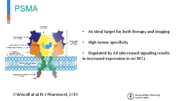 PSMA • An ideal target for both therapy and imaging • High tumor specificity PSMA • An ideal target for both therapy and imaging • High tumor specificity