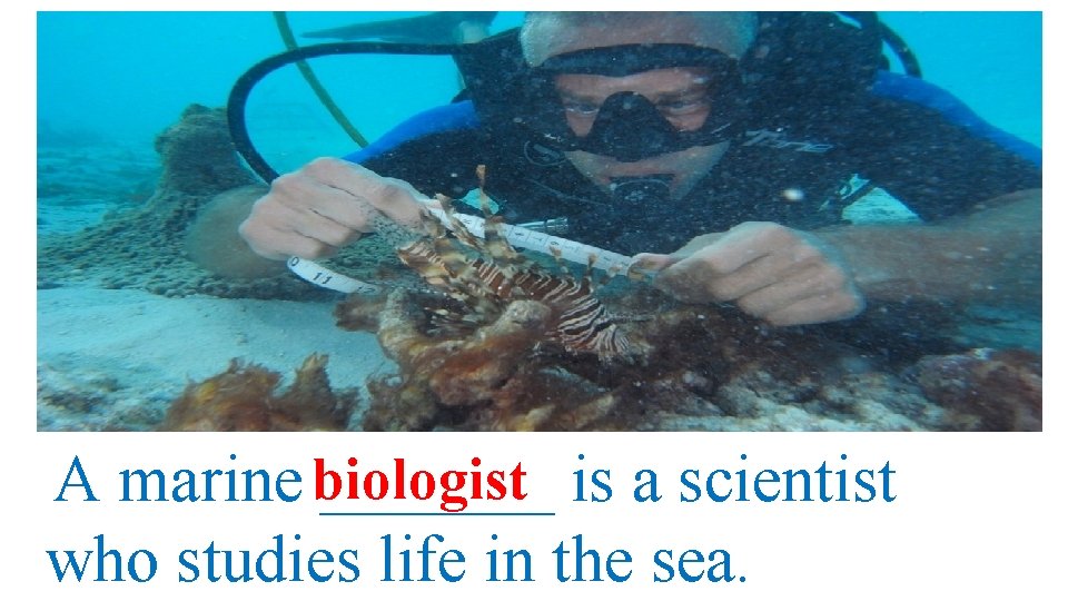 A marine biologist _______ is a scientist who studies life in the sea. 