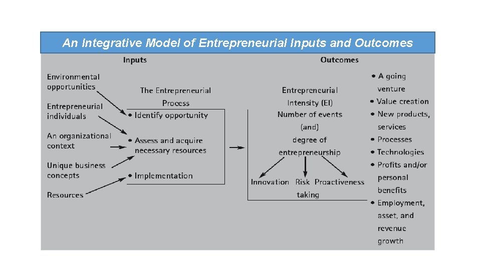 An Integrative Model of Entrepreneurial Inputs and Outcomes 