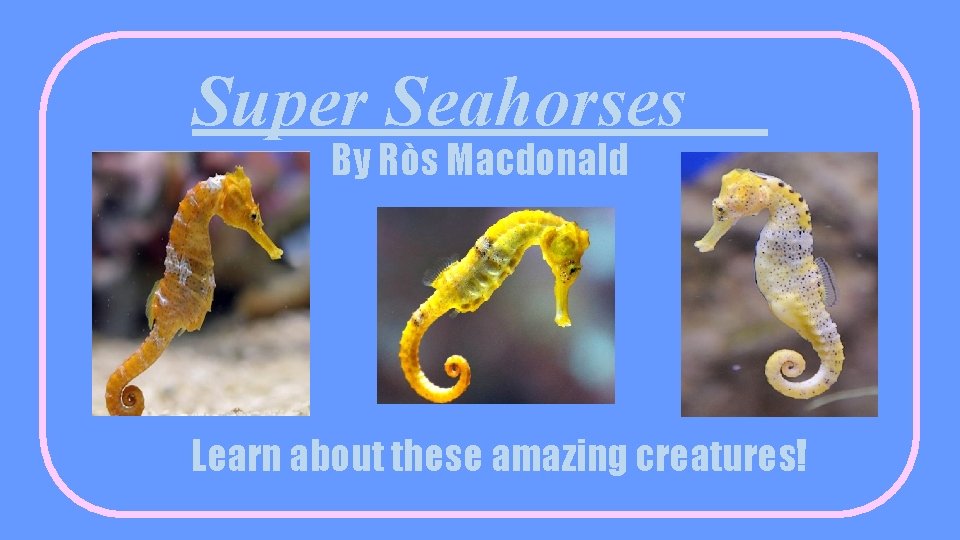 Super Seahorses By Ròs Macdonald Learn about these amazing creatures! 