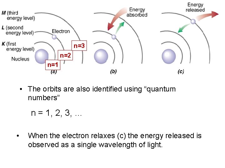 n=3 n=2 n=1 • The orbits are also identified using “quantum numbers” n =