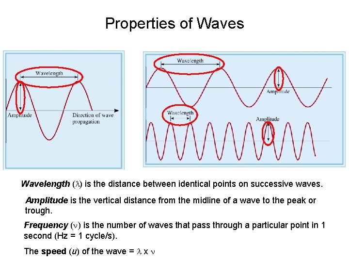 Properties of Waves Wavelength (l) is the distance between identical points on successive waves.