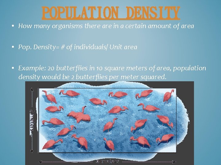 POPULATION DENSITY • How many organisms there are in a certain amount of area