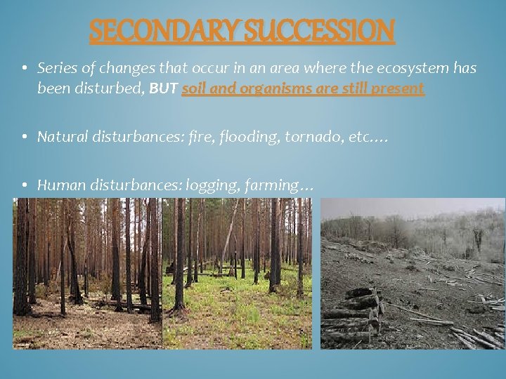 SECONDARY SUCCESSION • Series of changes that occur in an area where the ecosystem