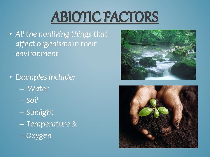 ABIOTIC FACTORS • All the nonliving things that affect organisms in their environment •