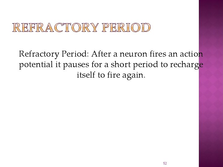 Refractory Period: After a neuron fires an action potential it pauses for a short