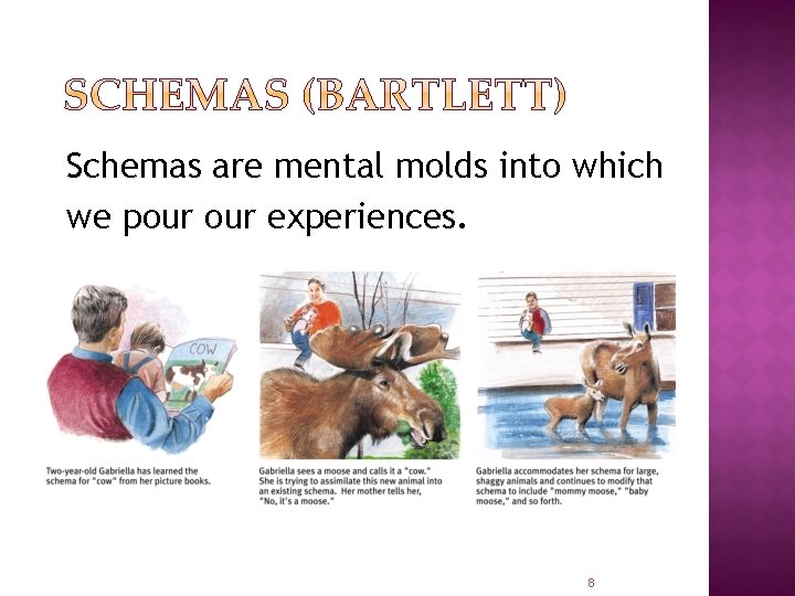 Schemas are mental molds into which we pour experiences. 8 