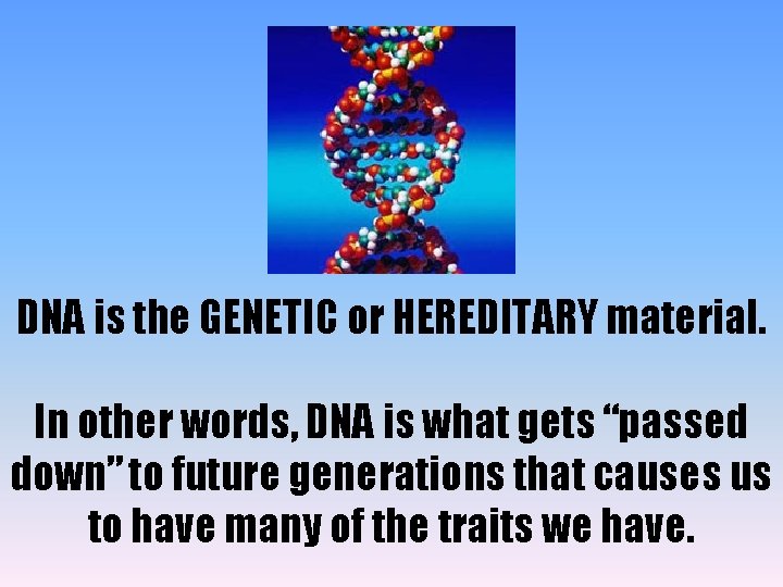 DNA is the GENETIC or HEREDITARY material. In other words, DNA is what gets