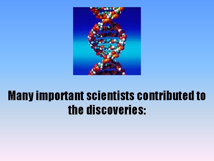 Many important scientists contributed to the discoveries: 