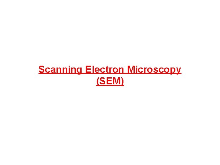 Scanning Electron Microscopy (SEM) 