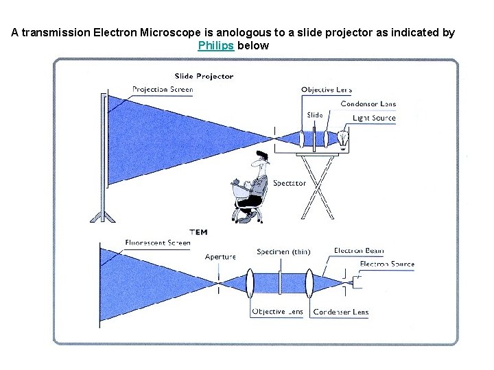 A transmission Electron Microscope is anologous to a slide projector as indicated by Philips