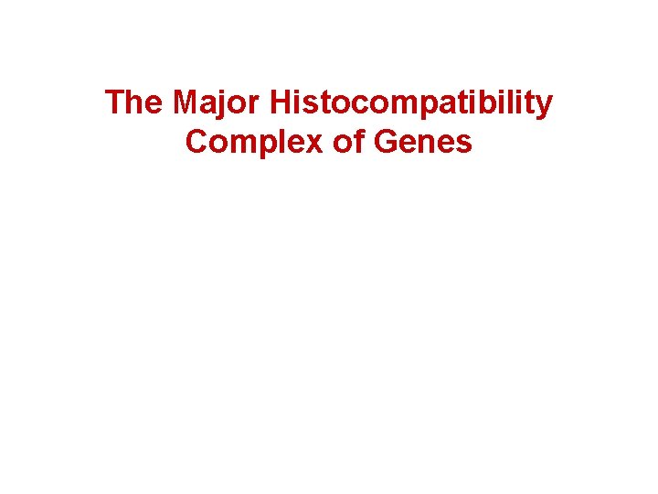 The Major Histocompatibility Complex of Genes 