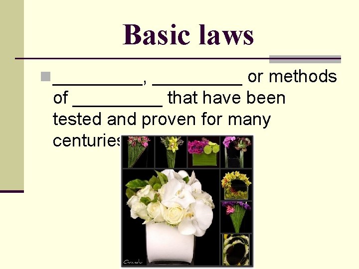 Basic laws n _____, _____ or methods of _____ that have been tested and
