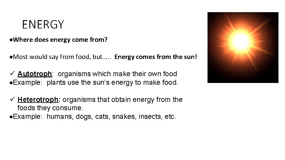 ENERGY ·Where does energy come from? ·Most would say from food, but…. . Energy ENERGY ·Where does energy come from? ·Most would say from food, but…. . Energy