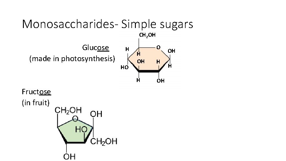Monosaccharides- Simple sugars CH 2 OH Glucose (made in photosynthesis) H HO H OH Monosaccharides- Simple sugars CH 2 OH Glucose (made in photosynthesis) H HO H OH