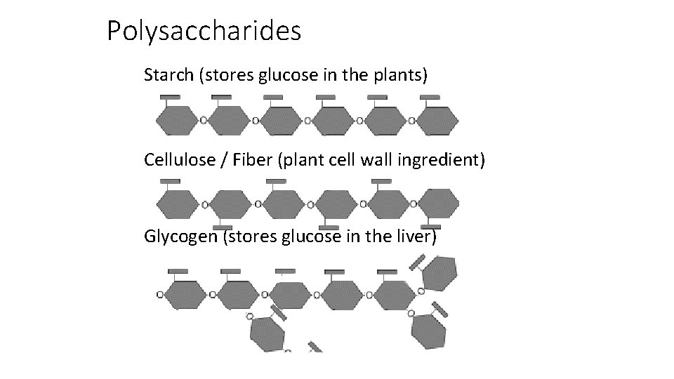 Polysaccharides Starch (stores glucose in the plants) Cellulose / Fiber (plant cell wall ingredient) Polysaccharides Starch (stores glucose in the plants) Cellulose / Fiber (plant cell wall ingredient)