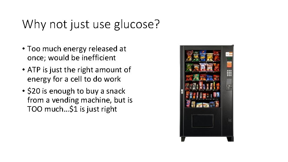 Why not just use glucose? • Too much energy released at once; would be Why not just use glucose? • Too much energy released at once; would be